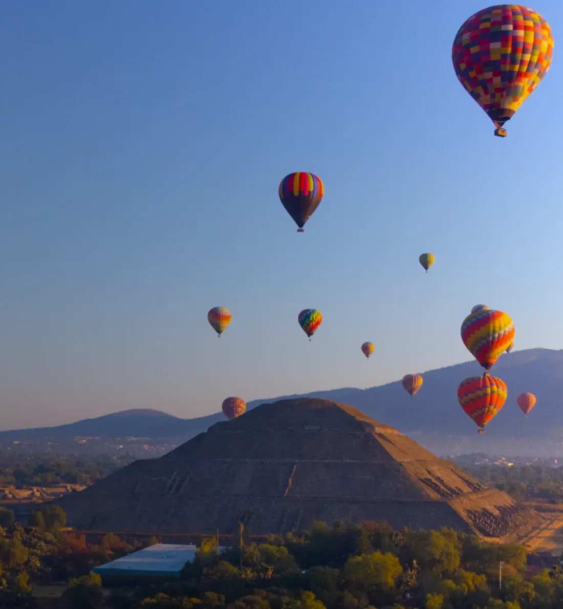 Banner image Banner image