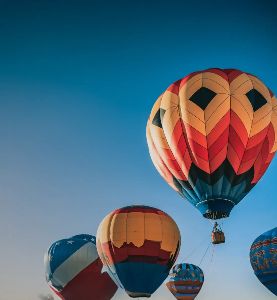 Banner image Banner image