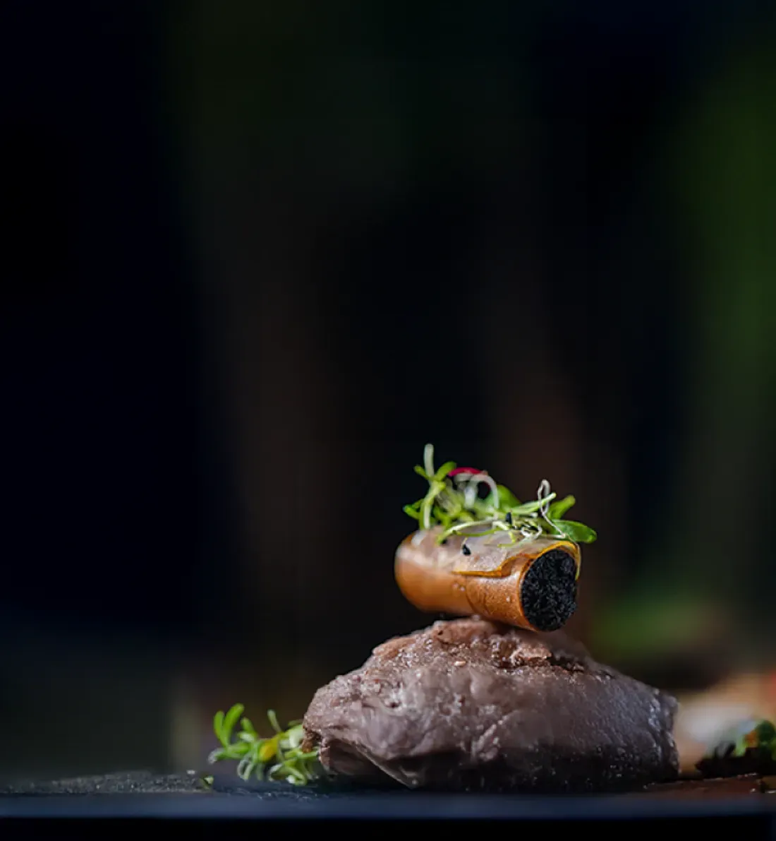 Banner image Banner image