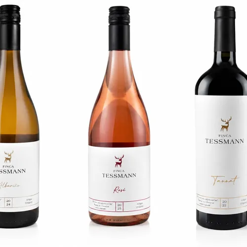Vinos Finca Tessmann