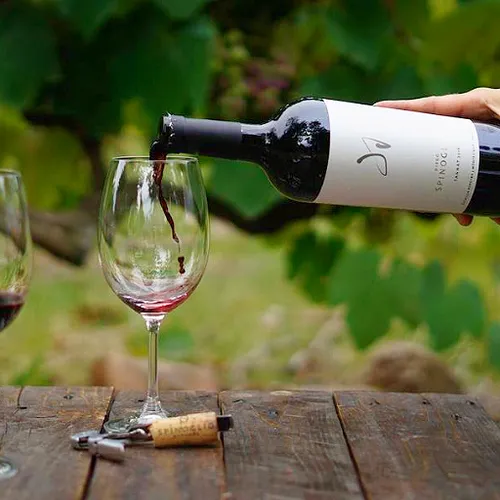 Bodega Spinoglio