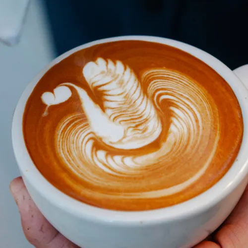 Taller de Barista