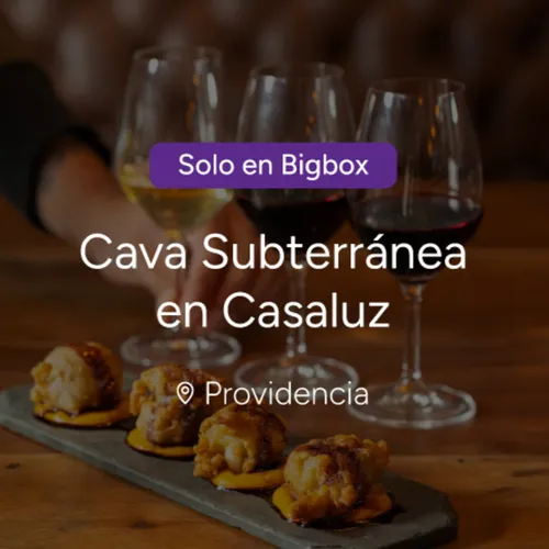 Degustación de vinos subterránea