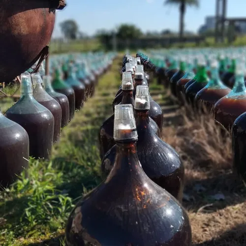 Tour Degustacion Gran Cava