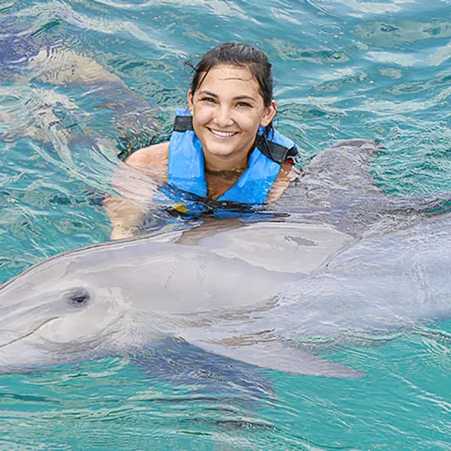 Dolphin Royal Swim Vip Isla Mujeres Dolphin Royal Swim Vip Isla Mujeres