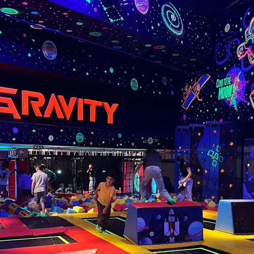 Gravity Gravity