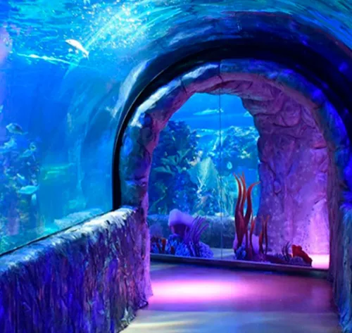 Acuario Inbursa