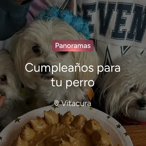 Brunch con tu perro en K2 Café