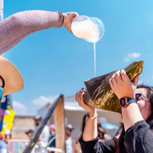Teotihuacan con degustación de  pulque