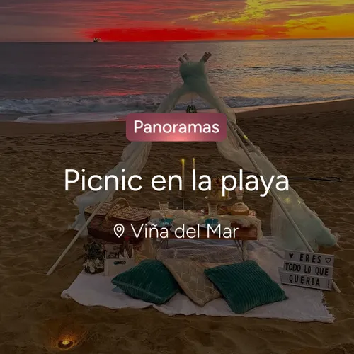 Picnic Viña del Mar