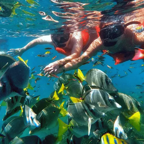 Snorkel a Playa Santa María Snorkel a Playa Santa María