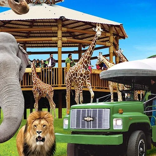 Bioparque México: Entrada general con transporte