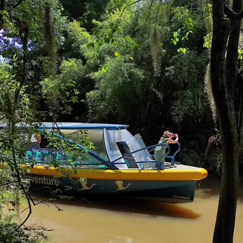 Excursión Cañaverales con Descenso Excursión Cañaverales con Descenso