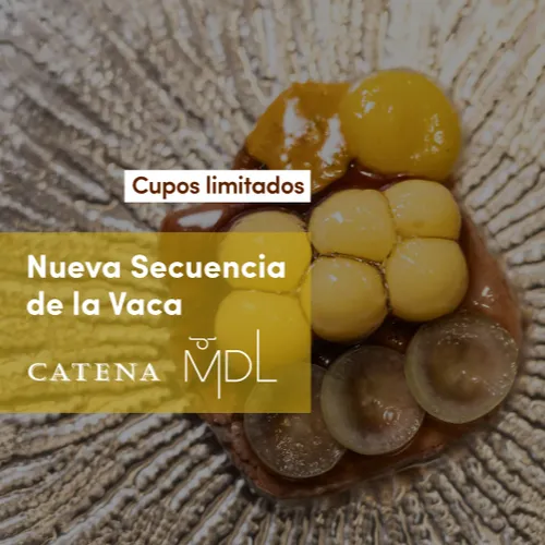 Vuelve "La Secuencia de La Vaca"