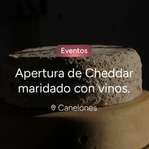 Apertura de Cheddar maridado con vinos Apertura de Cheddar maridado con vinos