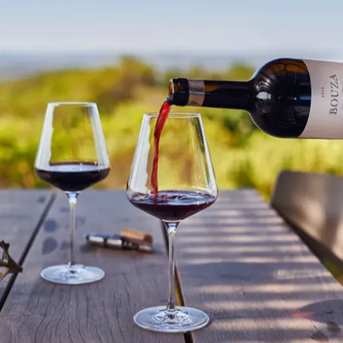 Bodega Bouza