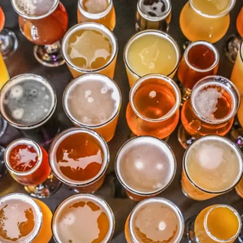 Tour Cervecero The Beer Trip