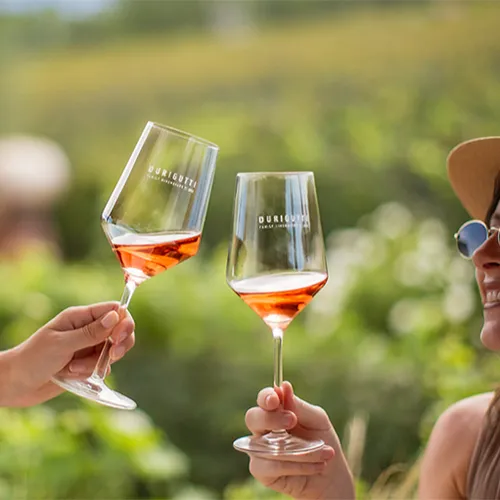 Wine Tour Las Compuertas Wine Tour Las Compuertas