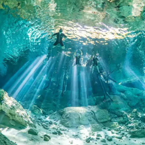 Cenote adventure Express Cenote adventure Express