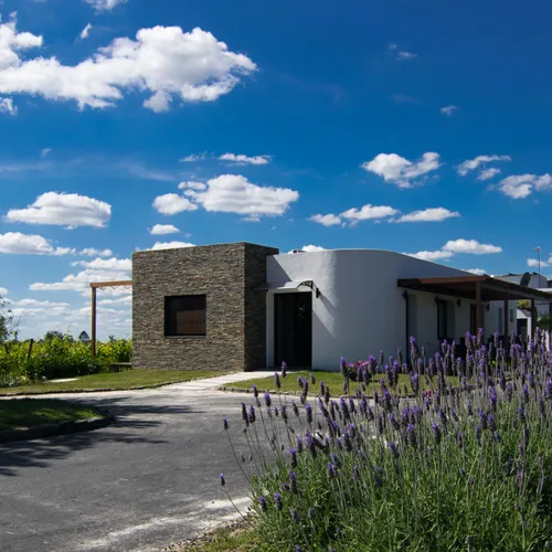 Posada Pizzorno Family Estates