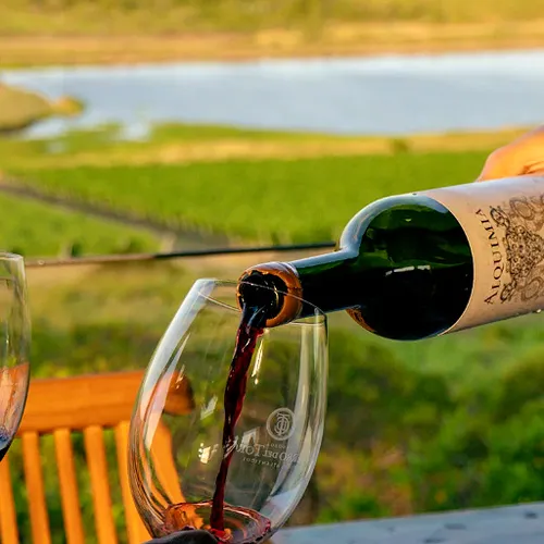 Viñedo Cerro del Toro
