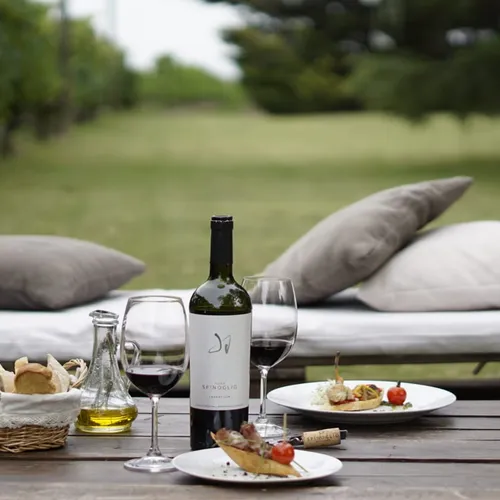 Degustación y almuerzo en Monfrá - Bodega Spinoglio Degustación y almuerzo en Monfrá - Bodega Spinoglio