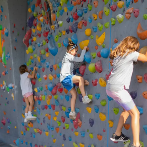 Vertical Escalada
