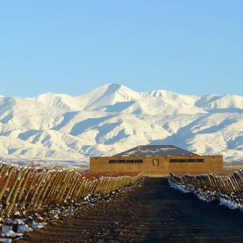 Íconos y Únicos en Finca Sophenia