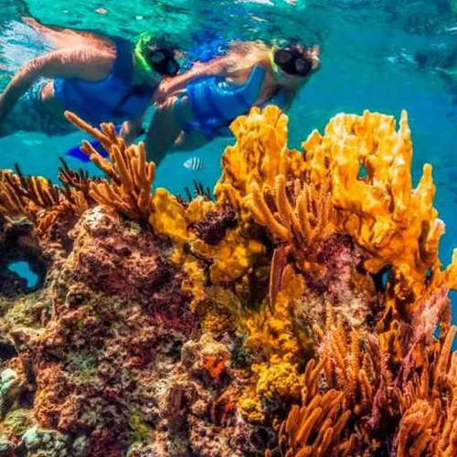 Paradise Snorkel & Skyrider Paradise Snorkel & Skyrider