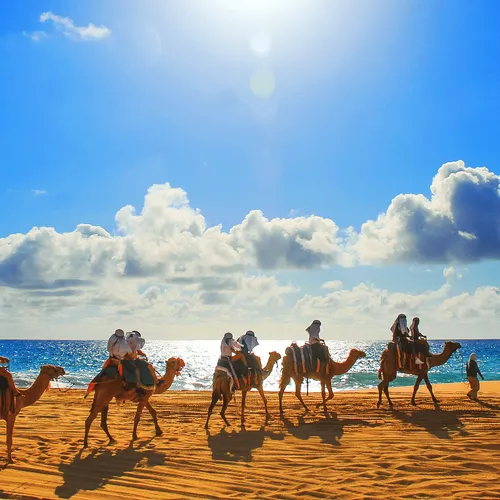 Paseo en Camello por La Playa