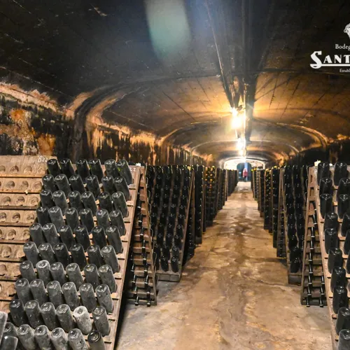 Santa Rosa: Almuerzo y Tour Degustación