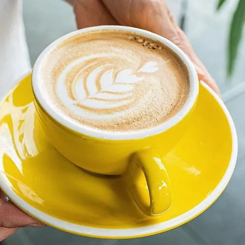 Cardenal Coffee Roasters