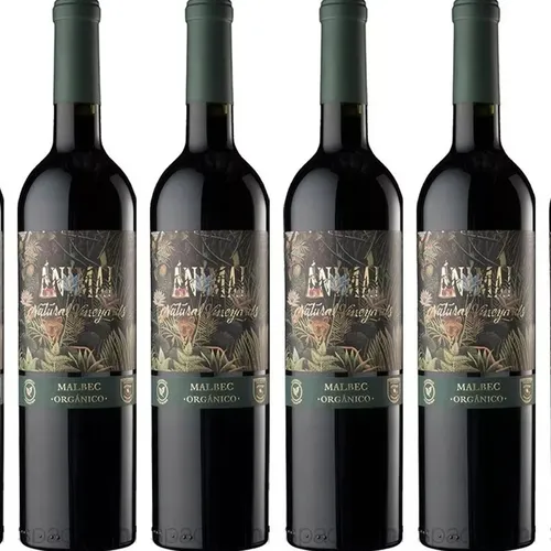Organic Wine Argentina