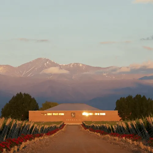 Blending Session en Finca Sophenia