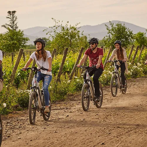 Viña Viu Manent - Valle de Colchagua