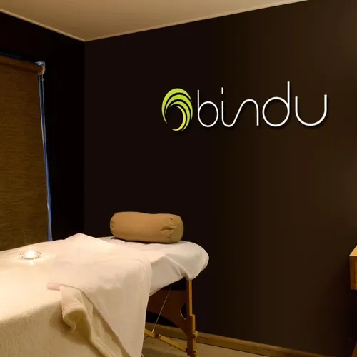 Bindu