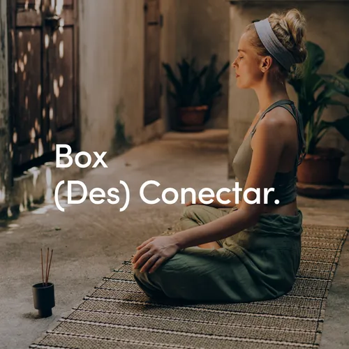 (Des) Conectar