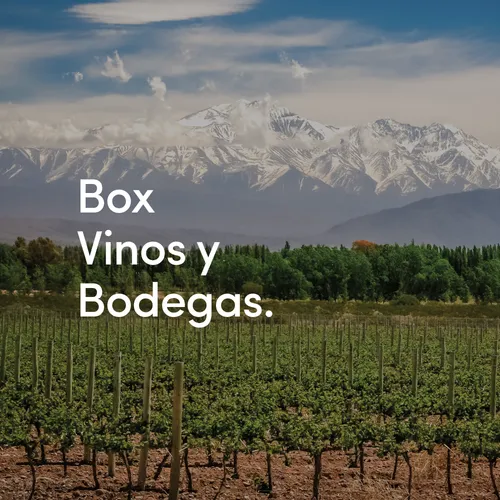 Vinos y Bodegas