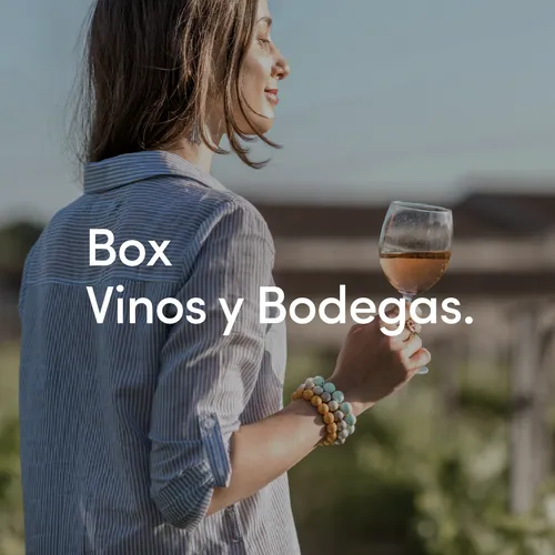 Vinos y Bodegas