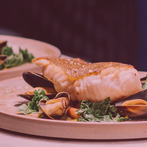 Paladares exquisitos Paladares exquisitos