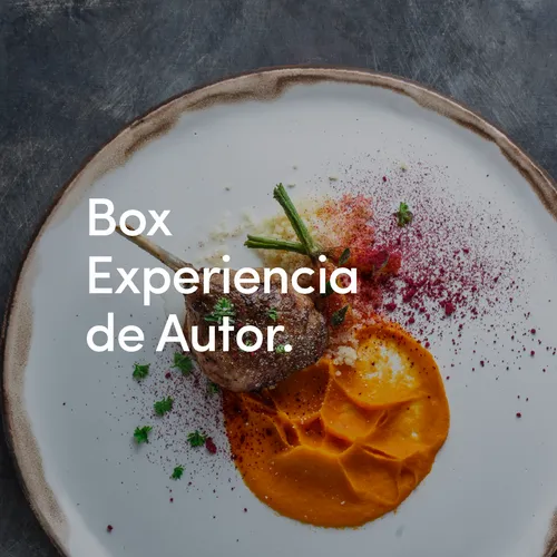 Experiencia de Autor