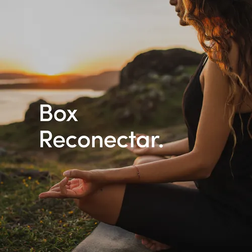 Reconectar Reconectar