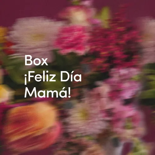 ¡Feliz día Mamá!
