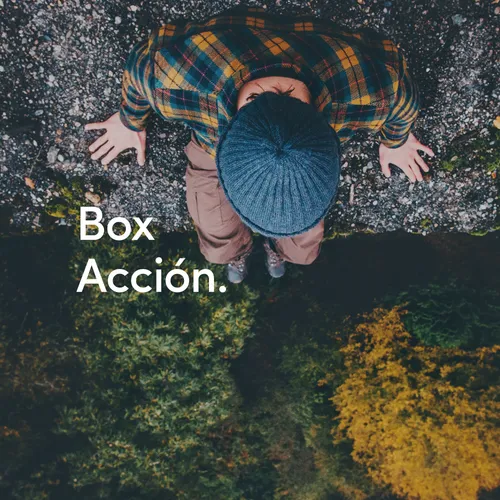 Acción Acción